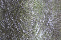 Ruthrieston fibreglass roof work